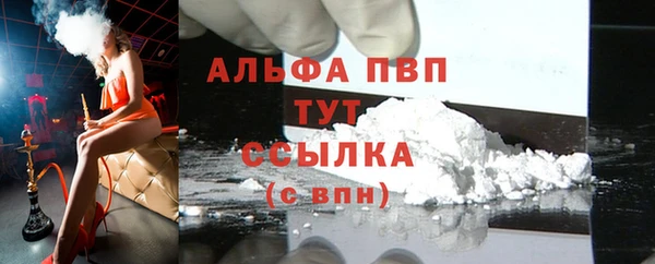 индика Сосновый Бор
