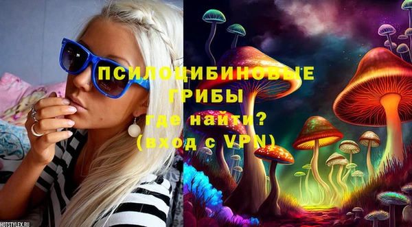 твердый Алексин