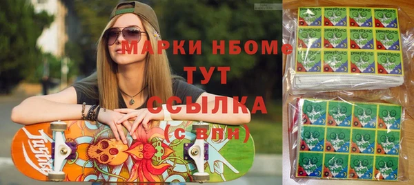 индика Сосновый Бор