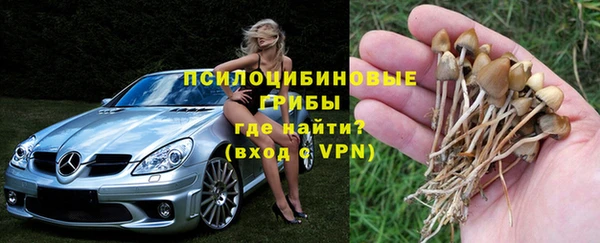 метадон Горнозаводск