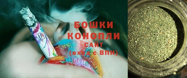 ГАЛЛЮЦИНОГЕННЫЕ ГРИБЫ Алзамай