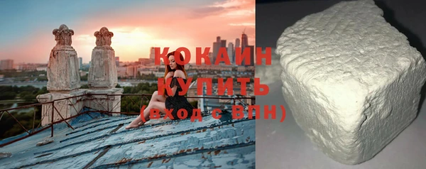 индика Сосновый Бор