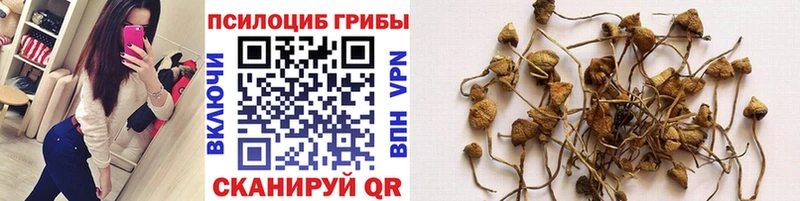 Галлюциногенные грибы Psilocybine cubensis  Данков 